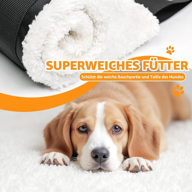 Detalle 1 de Verstellbare Hunde Tragehilfe für Gehhilfe