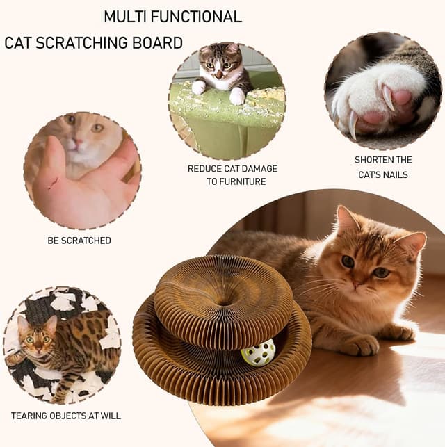 Thumbnail 2 de Quintrost Griffoir Chat Magic Organ