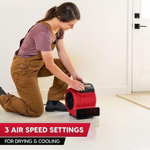 Thumbnail 1 de Vacmaster AM201, ventilateur de sol 3 vitesses ⚙