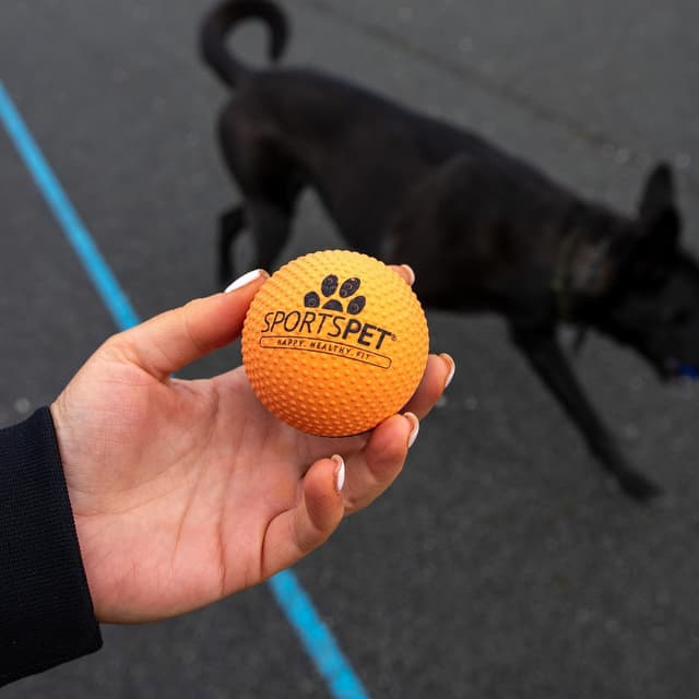 Detalle 2 de SPORTSPET High Bounce Natural Rubber Dog Balls (High Bounce Dimple 6 Pack, 61mm)