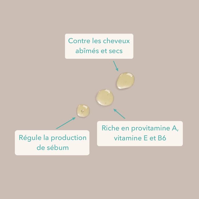 Detalle 2 de colibri skincare BIO JOJOBA OIL 100 ml – Huile de jojoba bio visage et cheveux