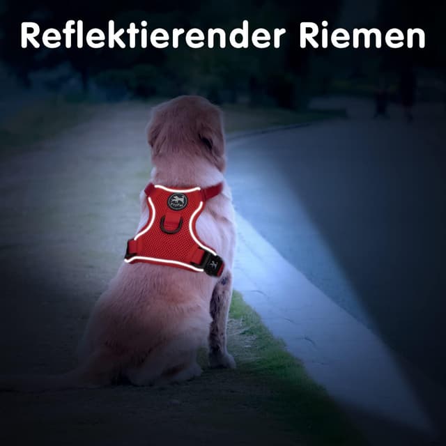 Thumbnail 5 de PoyPet Hundegeschirr im Mesh, Rot M