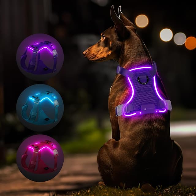 Detalle de Purple XS LED Dog Harness