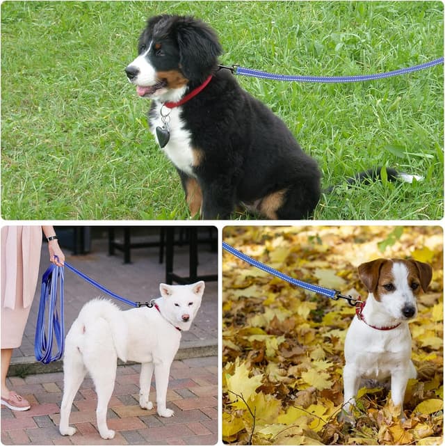 Detalle 2 de Demigreat Schleppleine für Hunde mit reflektierenden Streifen, gepolstertem Griff und Handschlaufe (3–20 m)