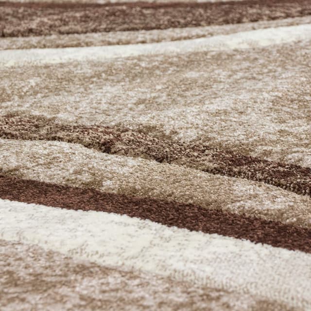 Detalle 1 de Tapis de salon Paco Home à poils courts style vintage marron (80 x 150 cm), contours découpés effet 3D