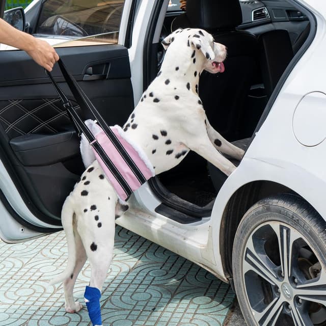 Detalle 2 de Adjustable Dog Lift Harness Dog Sling with Hind Leg Support for Mobility & Rehab