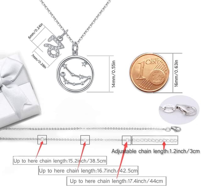 Detalle de Qings Capricorn zodiac necklace in 925 silver