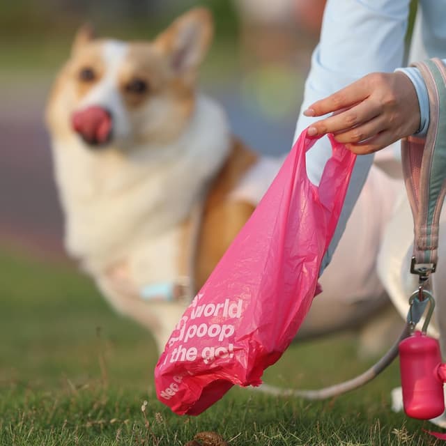 Detalle de Deo Doo Dog Poop Bags with Handles – 60 Rolls (720 counts) Leak Proof, Extra Thick, Rose Scented, with Holders