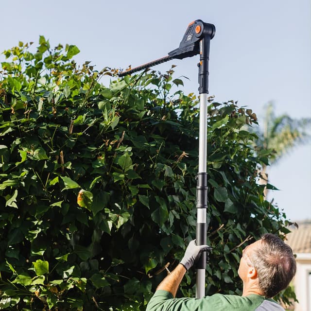 Detalle de WORX WG252E.9 20V Cordless Pole Hedge Trimmer (45cm) with Reach up to 2.8m