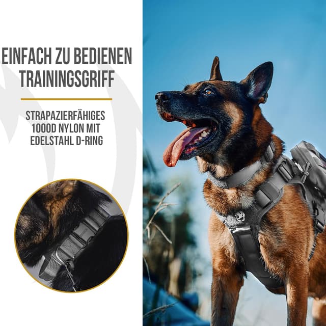 Detalle de OneTigris Hundehalsband mit Metallschnalle Grau (S) – gepolstertes Nylonband mit D-Ring