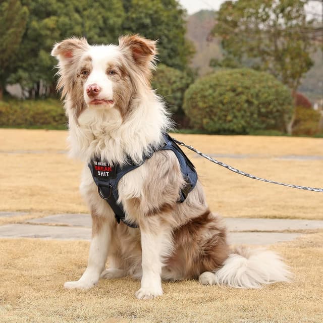 Thumbnail 6 de Belababy Tactical Anti Pull Dog Harness (Denim Blue) with Handle, Adjustable Front Clip – Size L