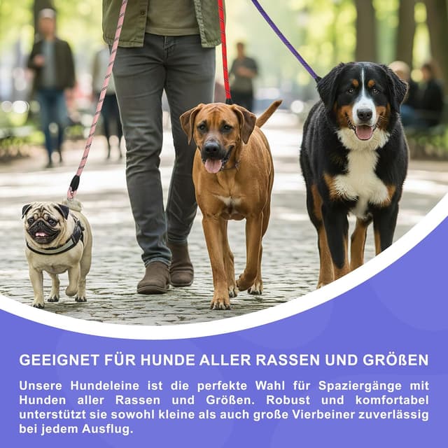 Detalle de Reichstadt Pets guinzaglio per cani in nylon morbido con impugnatura EVA riflettente e moschettone girevole (1,5 m, viola)