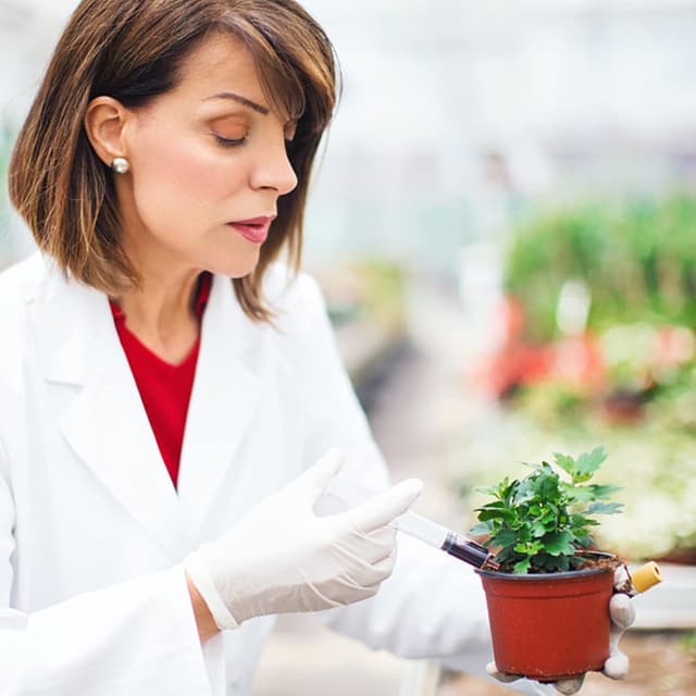 Thumbnail 6 de Reyshin 20 Kunststoff Spritzen 5 ml