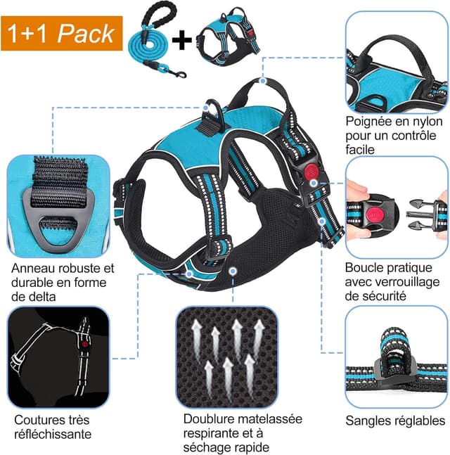 Detalle de haapaw Harnais anti-traction réglable pour chien (taille moyenne et grande) en tissu Oxford réfléchissant