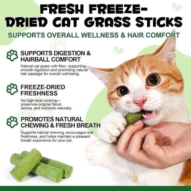 Thumbnail 1 de Bastoncino Erba Gatto 60g per igiene dentale