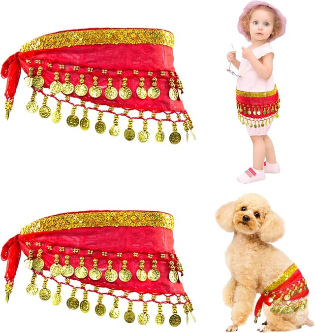 Detalle de Baisdan 2 Pcs Kids & Dogs Belly Dance Hip Scarf with Sequin Coins