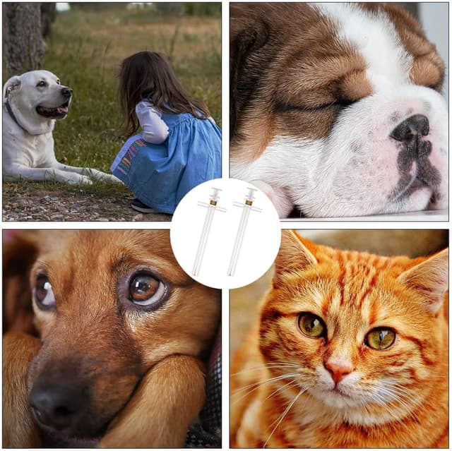 Thumbnail 6 de Cat Pill Popper 3-Piece pill dispenser for pets