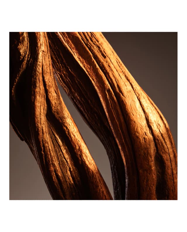 Thumbnail 4 de Boss Bottled Eau de Parfum perfume 50 ml