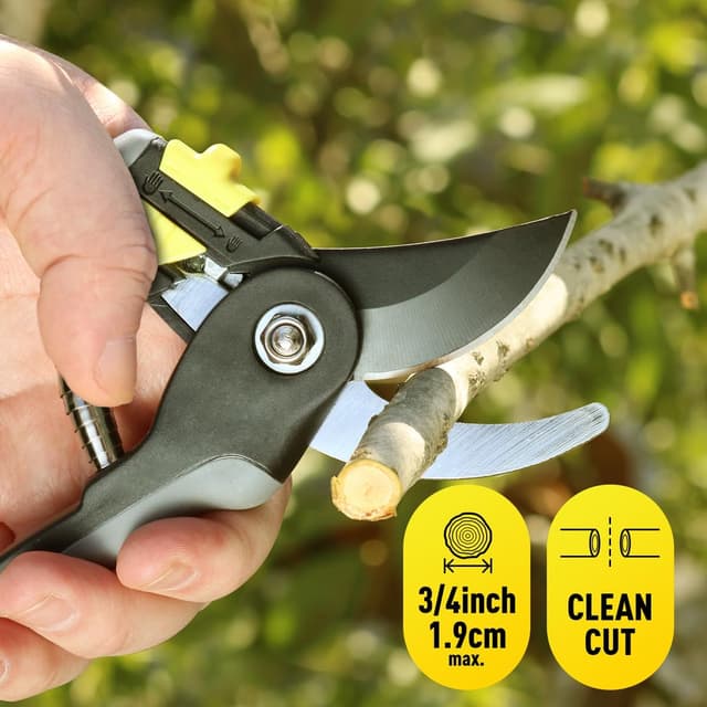 Thumbnail 6 de Colwelt Garden Shears Set 3-Pack: 42cm bypass loppers, hedge clippers & 20cm secateurs