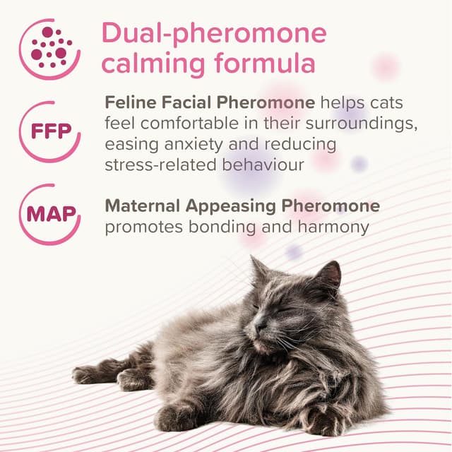 Thumbnail 3 de Beaphar CatComfort Excellence Calming Diffuser Starter Kit 🐱