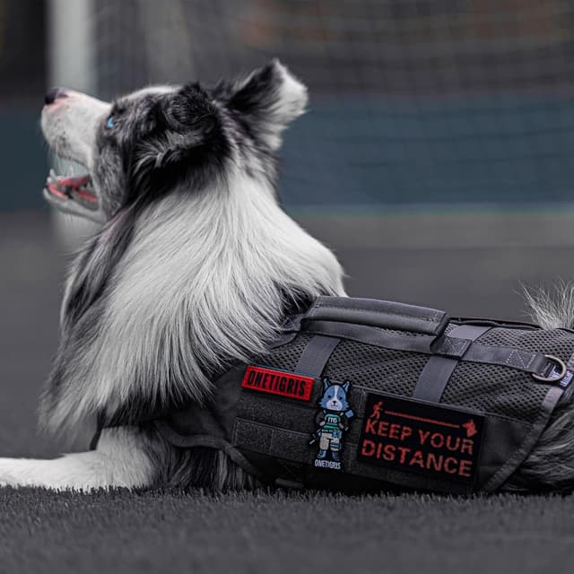 Thumbnail 6 de OneTigris Harnais de sécurité réglable pour chiens de taille moyenne et grande (maille respirante, 2 poignées)