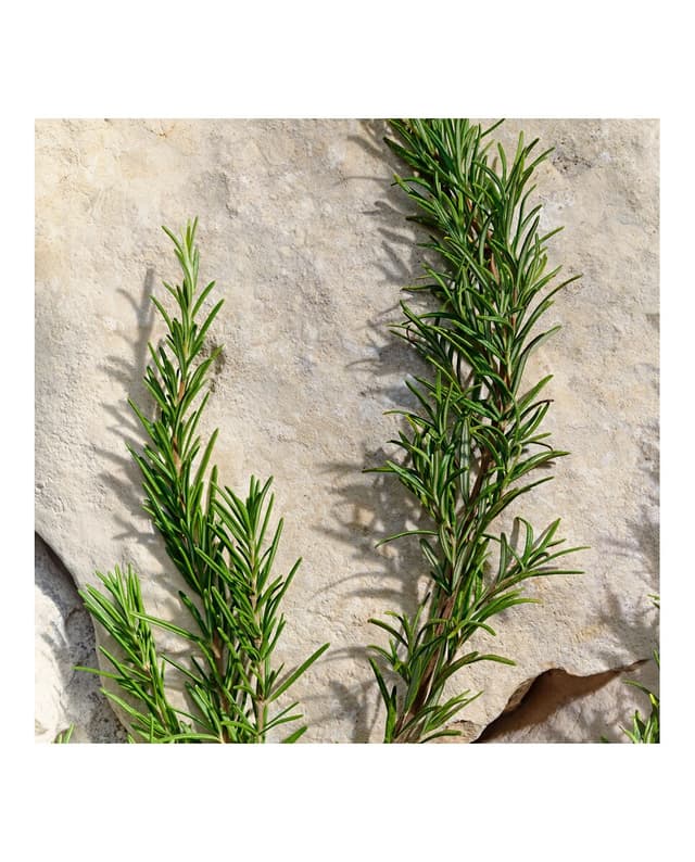 Thumbnail 5 de Dolce & Gabbana Estuche Light Blue Pour Homme