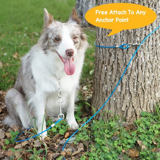 Thumbnail 6 de Petphabt 33ft heavy duty tie-out cable teal