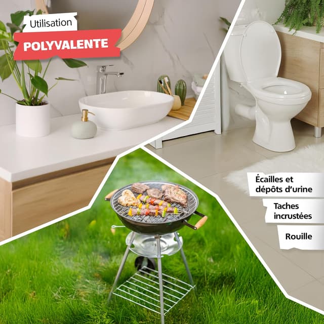 Detalle 2 de SPRINGER ZX6000 – Lot de 3 pierres ponces pour WC, pierre naturelle sans produits chimiques