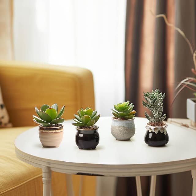 Thumbnail 6 de T4U Small Ceramic Succulent Pots set of 6