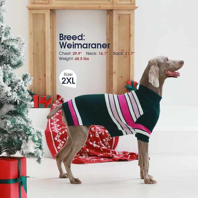 Thumbnail 5 de IECOii Dog Jumper Large