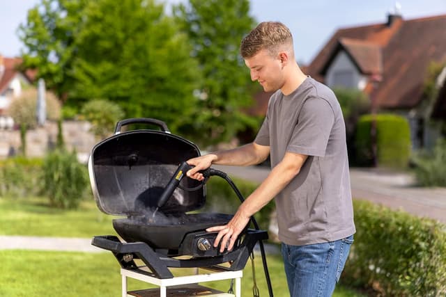 Detalle 1 de WAGNER Power Steamer 915 E 🧼, limpiador de vapor 18 accesorios