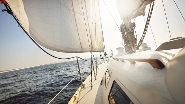 Thumbnail 2 de NOBLEX NF 7x50 Inception Marine Fernglas