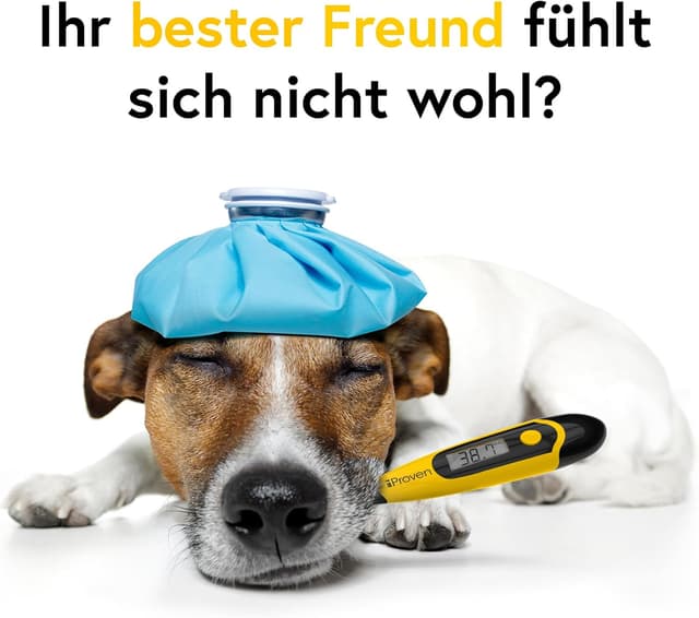 Detalle de iProven Fieberthermometer für Hund, Katze & Pferd – präzise Messung in 20 Sekunden
