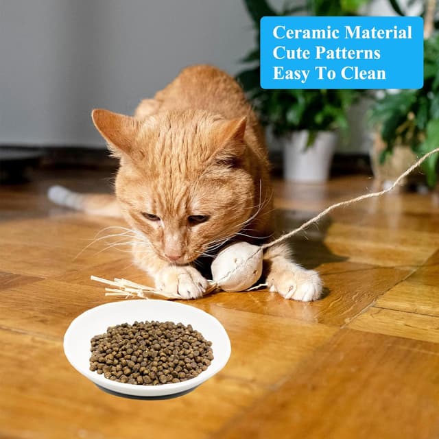 Detalle 2 de CiciIng Katzennapf Flach aus Keramik mit rutschfestem Silikonboden (Fishbone-Muster)