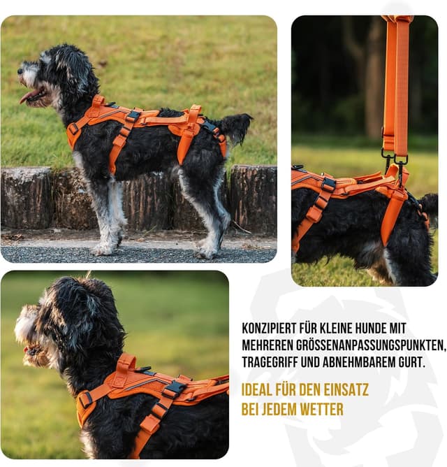 Thumbnail 6 de OneTigris Hopper harnais pour chien avec 2 poignées de soutien réglables, orange, taille XS