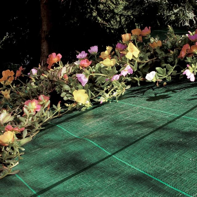 Detalle de TENAX Cover Pro 1,60x5 m Verde, telo antierbacce professionale per pacciamatura