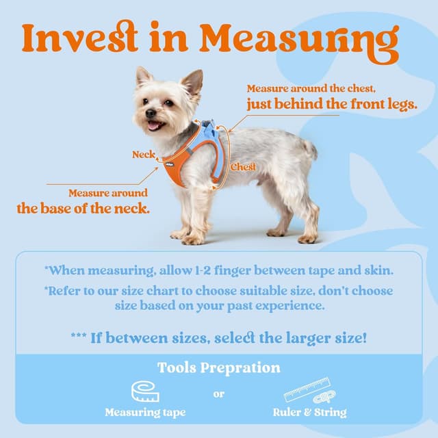 Detalle de rabbitgoo Dog Harness (Small Dog) Step-in Soft Mesh Puppy Harness with Reflective Strips, Blue & Orange, M