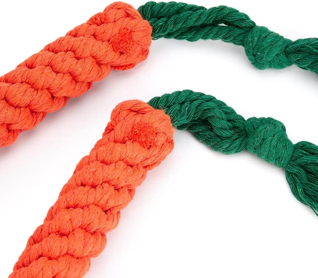 Thumbnail 1 de Zappi Co Carotte 22 cm – Lot de 2