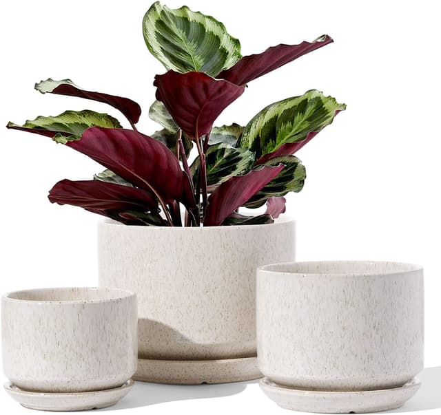 Detalle de LE TAUCI ceramic plant pots set of 3 (11, 13 & 17 cm) with drainage hole and saucer in reactive glaze beige