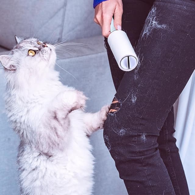 Detalle de Fusselroller für Tierhaare (540 Blatt) – extra klebriger, tragbarer Entferner für Katzen- & Hundefell