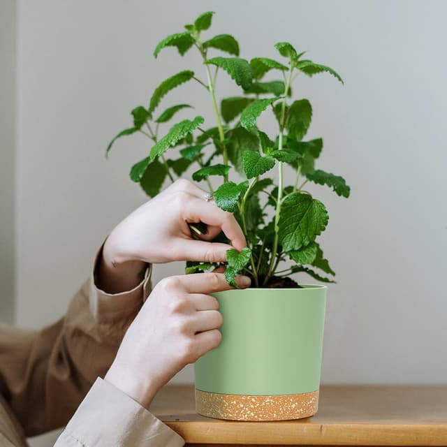 Detalle de 12.7cm QCQHDU plant pot for drainage