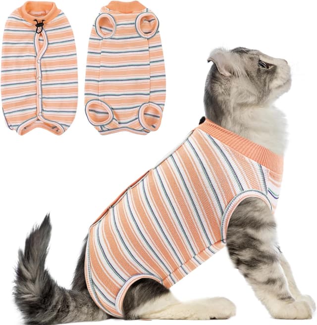 Imagen de CITÉTOILE Katzenbody XS 🐾 en OfertitasTOP