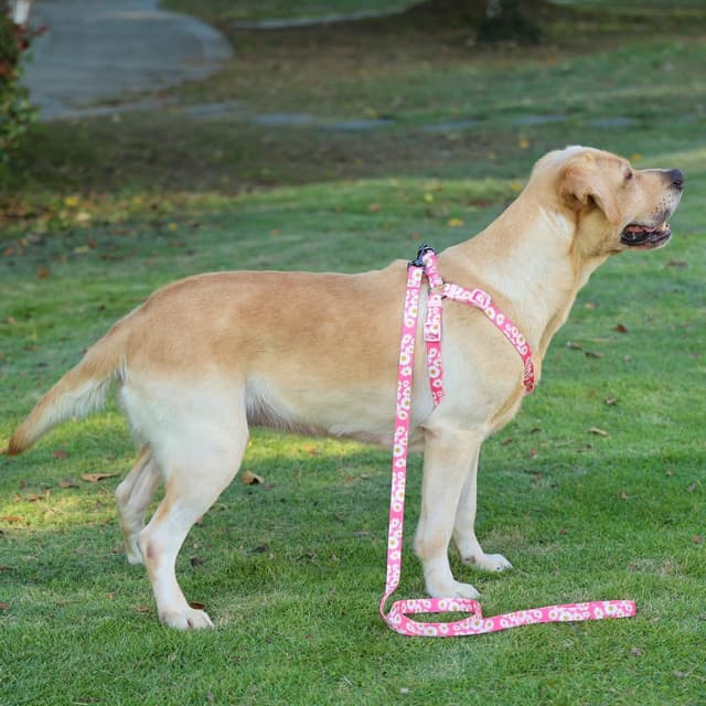 Detalle 2 de Olahibi Harness and Leash Set (Floral Pattern) with 150CM Matching Leash – Medium Pink Daisy