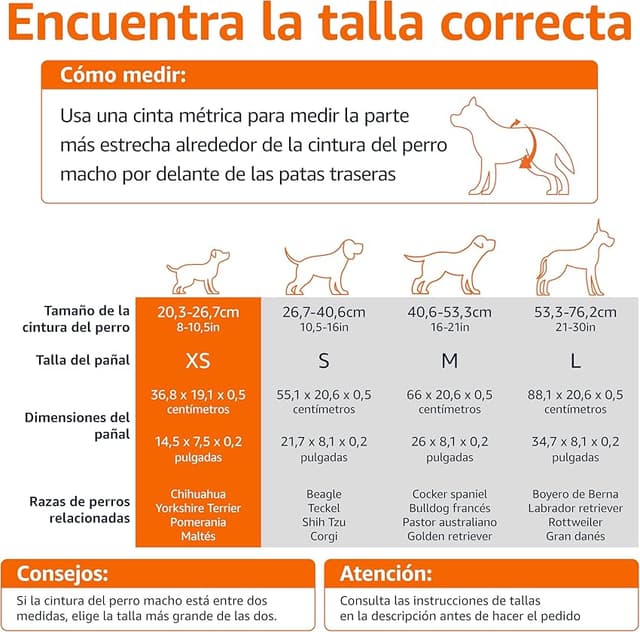 Detalle 2 de Amazon Basics Pañales para perros macho XS 30 unidades