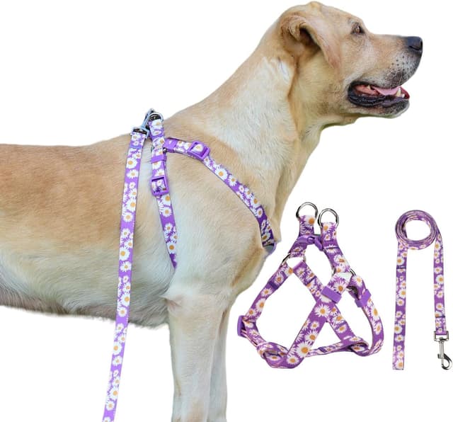 Detalle 2 de Olahibi Harness and Leash Set (Floral Pattern) with 150cm Matching Leash – Medium Dogs (M, Purple Daisy)