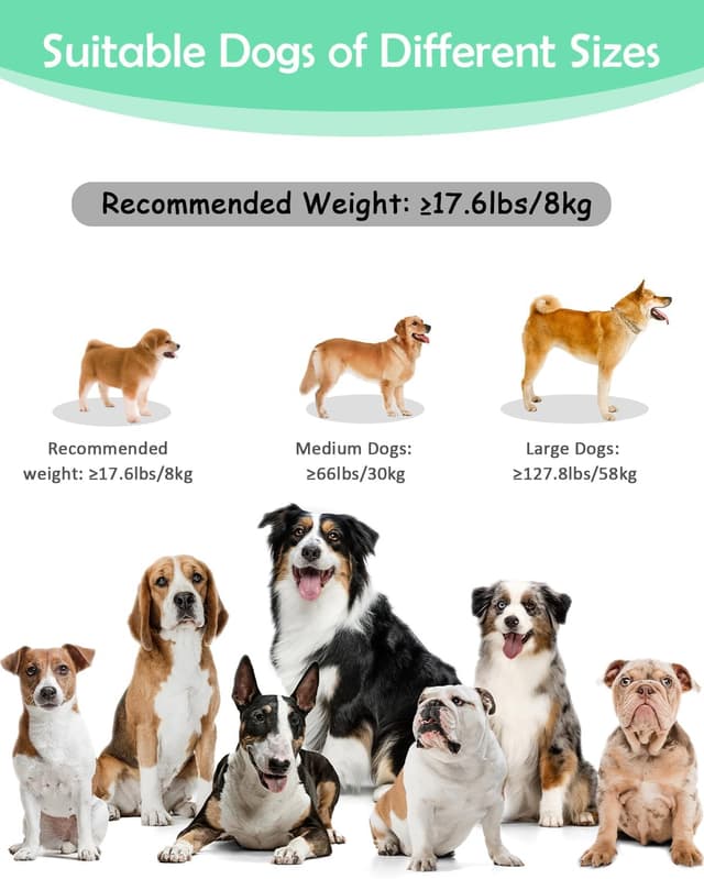 Thumbnail 4 de WANFIRE Hands Free Dog Lead 1.5–2.7M