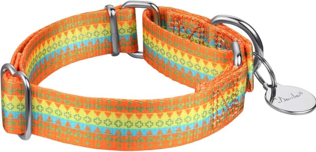 Detalle 2 de Martingal Halsband 25 mm M, Orange/Gelb