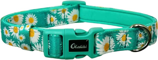 Detalle 2 de Olahibi Basic Dog Collar (S) Padded Neoprene Polyester Webbing with Daisy Pattern