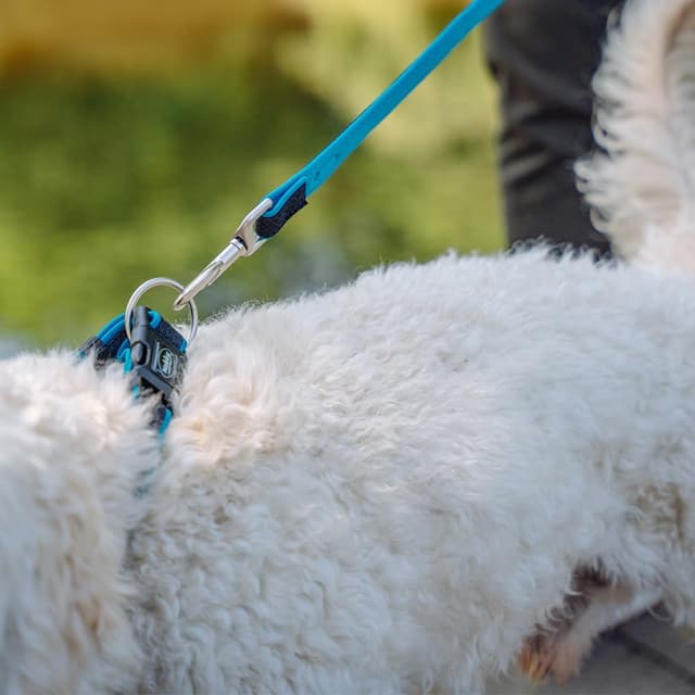 Thumbnail 2 de Nobby Halsband Mesh Preno lila L 40–55 cm