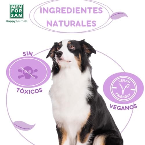 Thumbnail 5 de MENFORSAN Pack 4 collares anti-insectos para perros